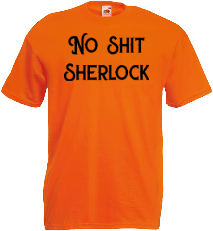 No Shit Sherlock